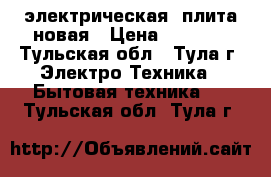 электрическая  плита новая › Цена ­ 4 400 - Тульская обл., Тула г. Электро-Техника » Бытовая техника   . Тульская обл.,Тула г.